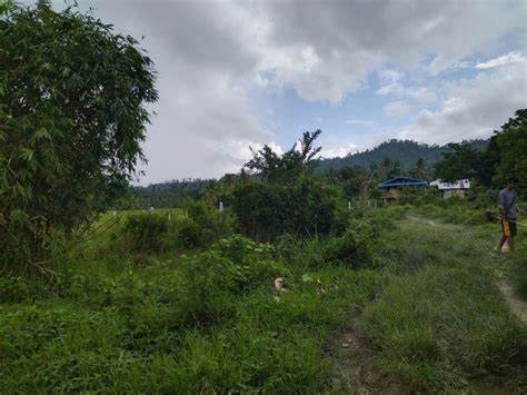 house and lot for sale in san vicente|Lot for Sale in San Vicente Palawan .